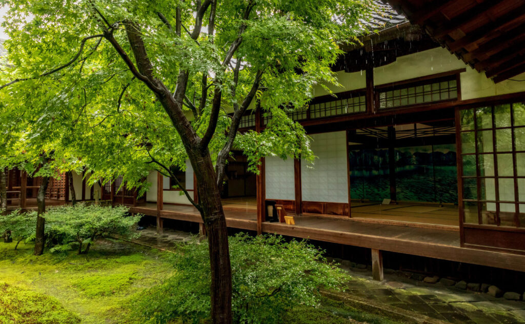 یک خانه سنتی ژاپنی که یک درخت جلوی آن قرار دارد