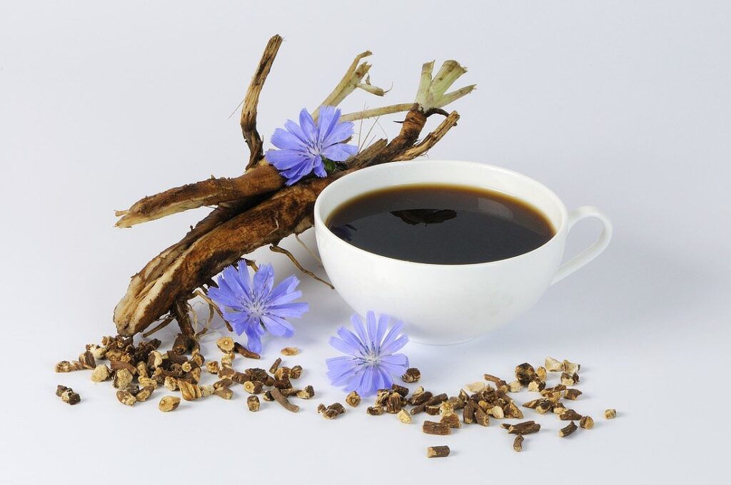 یک فنجان قهوه کاسنی به همراه ریشه و گل این گیاه