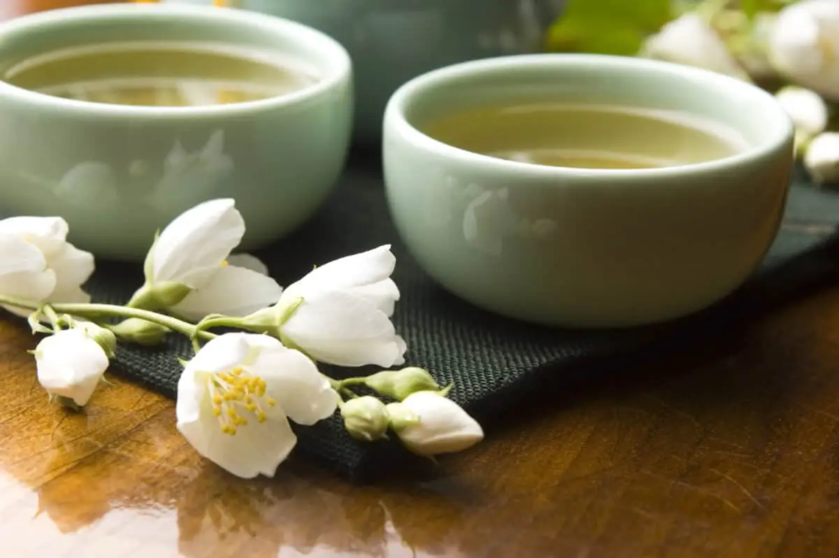چای سبز جاسمین
