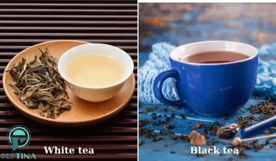 مقایسه چای سیاه با چای سفید 