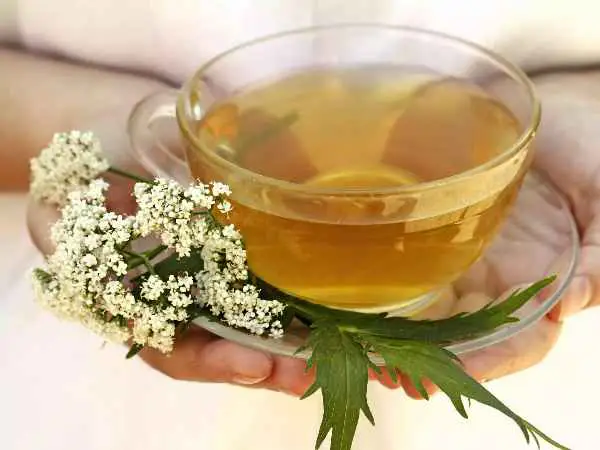 دمنوش خالص سنبل الطیب