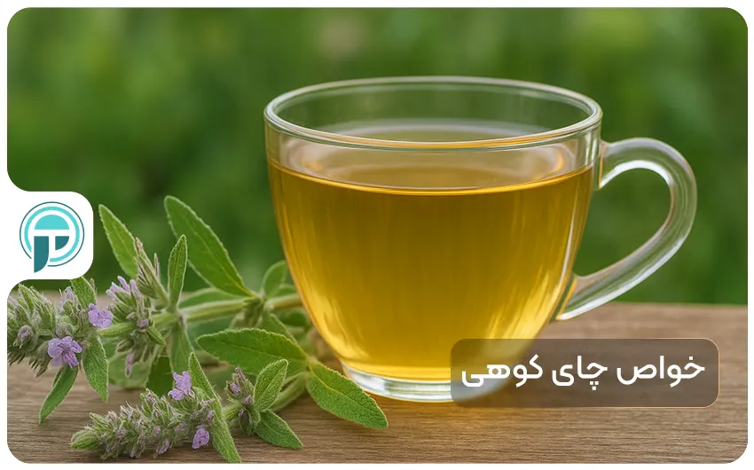 فواید چای کوهی